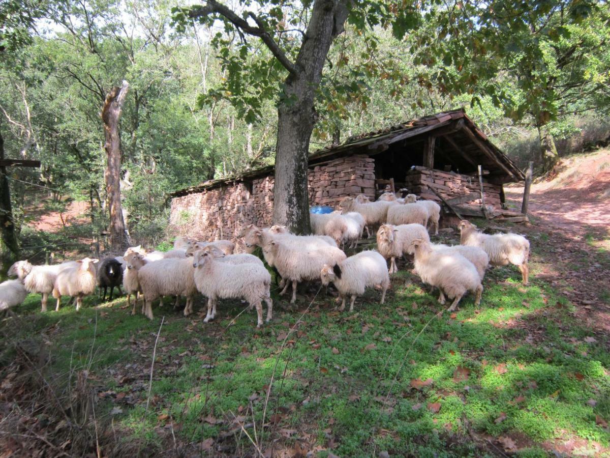 Casa Rural Lakoizketa Legasa Exterior photo